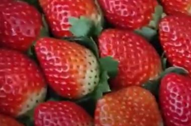 Strawberry in hindi